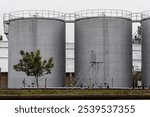 Several large fuel storage tanks stand at an industrial site, surrounded by a few trees and equipment, reflecting an overcast atmosphere in the morning light