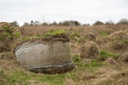 Several Old And Collapsing Overgrown Round Hay Bales With Green Vegetation Growing On Top