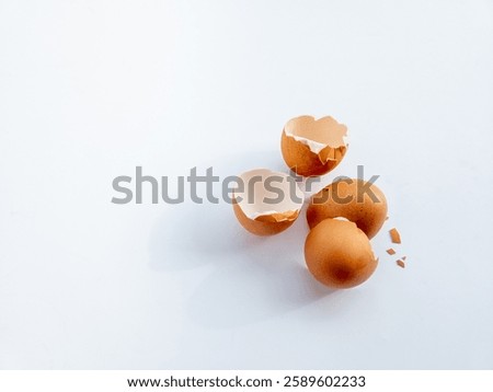 Several pieces of chicken egg shell fragments isolated on white background