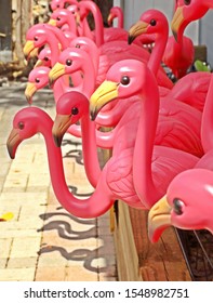 Several Pink Flamingo Lawn Ornaments For Sale Outdoors