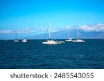 Several pristine white sailing boats floating in the waters of Port Kahului, Maui Hawaii