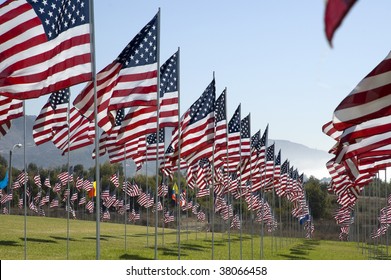 Several rows of flags stuck in a field of green grass.