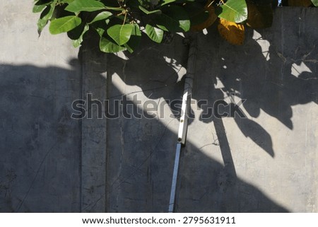 several shadows are formed from surrounding objects.