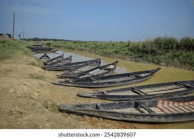 Several traditional wooden boats are lined up on the muddy riverbank, reflecting the serene landscape of rural Bangladesh with green grass and clear skies. - Powered by Shutterstock