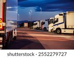 Several trucks parked in a motorway car park at night, taking mandatory breaks.