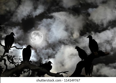 Several vultures are viewed as silhouettes by a rising full moon against a spooky black sky with white clouds