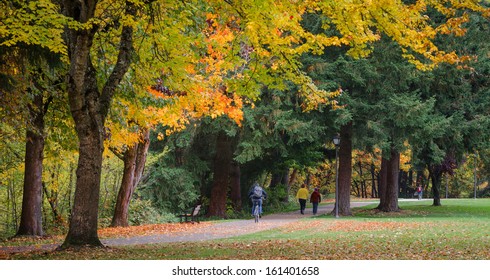 Several walkers and people on bicycles enjoying a colorful fall day on the bike path in Eugene, Oregon.