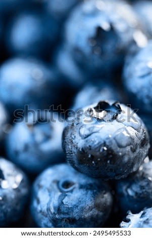 Similar – Image, Stock Photo Close-up of a Blue Butterfly on a Dandelion