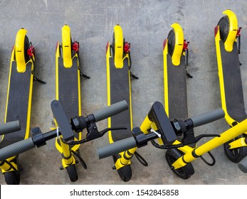 Several yellow e-scooters stand in a row for rent. Scooters are available for rent. Walk around the city light.