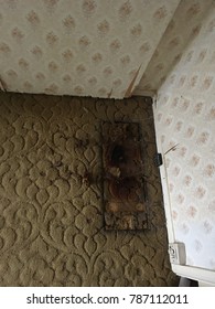 A Severe Burn Mark On A Carpet, Left By An Old Radiator