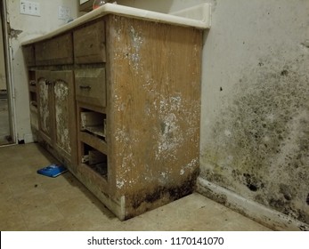 Severe Mold Damage On Cabinet And Wall In Bathroom From Water Damage