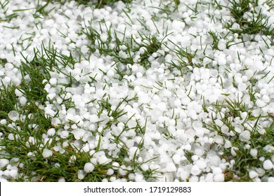 Severe weather. Hail on green grass - Shutterstock ID 1719129883