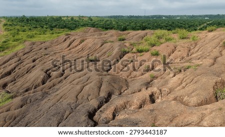 Severely eroded land surface with visible rill and gully erosion patterns in a tropical landscape. Degraded soil area surrounded by vegetation, environmental damage, land degradation, reclamation and erosion control concept