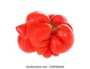 Severely Malformed Mutant Tomato. Ugly Fruit. Food Shops Mostly Prefer The Best Quality Fruit And Vegetables, Or Slightly Lower-quality Goods Sold For A Bit Less. Ugly Fruit Is Not In High Demand.