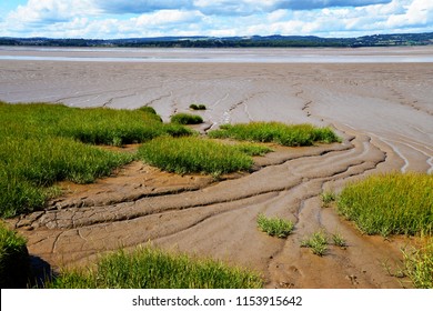 Severn Estuary Mud