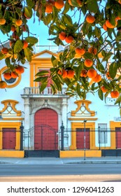 Sevilla Landmarks, Spain