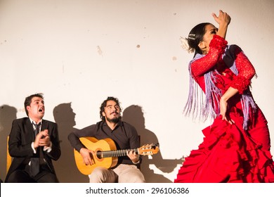 SEVILLA, SPAIN - JANUARY 4, 2015: Woman Performing Flamenco Dance In Sevilla, Spain On January 4, 2015