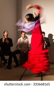 SEVILLA, SPAIN - JANUARY 4, 2015: Woman Performing Flamenco Dance In Sevilla, Spain On January 4, 2015