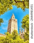 Seville Cathedral and Giralda Tower during Beautiful Sunny Day in Seville, Spain 