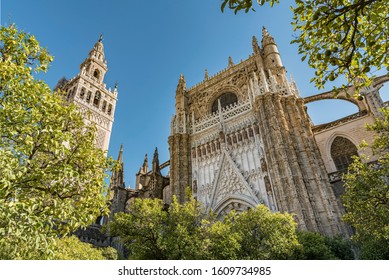 Seville Cathedral viewed from the Triumph Square, Spain
Gorgeous low angle view surrounded with trees