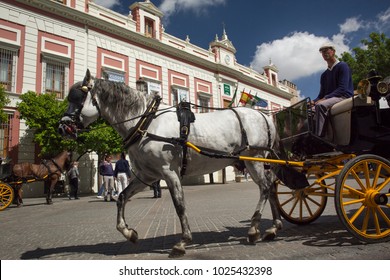 Similar Images Stock Photos Vectors Of Buggy And Horse 313408