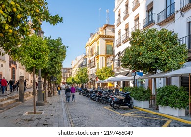 Seville, Spain - November 28 2021: Shops, Sidewalk Cafes And Orange Trees Line The Busy Street Alongside The Seville Cathedral In The Andalusian City Of Seville Spain.