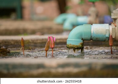 Sewage Pipe Polluting The River