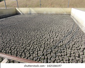 Sewage sludge,  is the remaining, semi-solid material that is left over after the cleaned-up water is discharged from a sewage treatment works.
