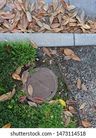 Sewer Cover In Oakland Cemetery.