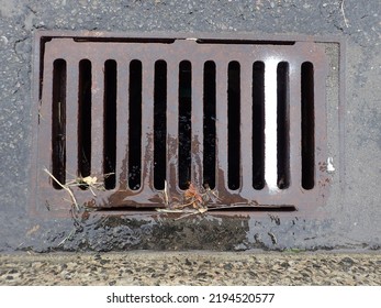 A Sewer Grate In Town