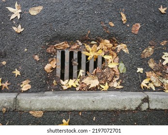 Sewer Or Storm Drain By Kerb On Roadside Partially Blocked By Dry Fallen Leaves