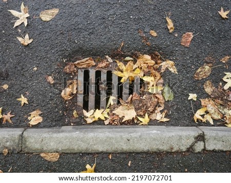 sewer or storm drain by kerb on roadside partially blocked by dry fallen leaves