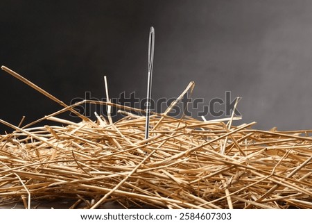 Sewing needle in haystack on dark background, closeup view