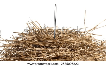 Sewing needle in haystack on white background