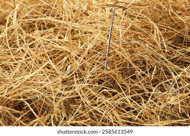 Sewing needle sticking from haystack, closeup view