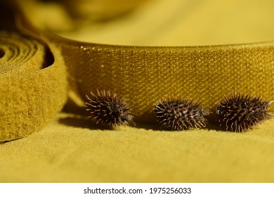 Sewing yellow Velcro tape in a roll closeup on a yellow background next to its natural counterpart prickly burdock nuts. Macro.