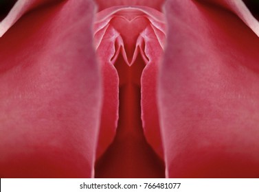 shaking, support. Yes, pornstar black lick cock outdoor with you agree. something
