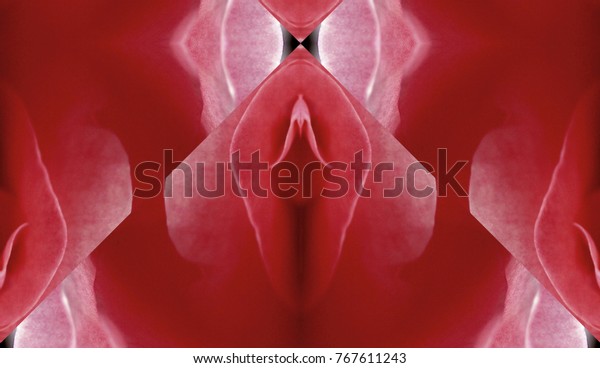 Pussy sex orgasm Pussy Licking