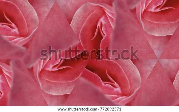 Sex Pussy Vulva Clitoris Vagina Orgasm Love Spring Bloom Petal
