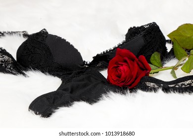 Sexy Black Lingerie Bra Red Rose Stock Photo Shutterstock