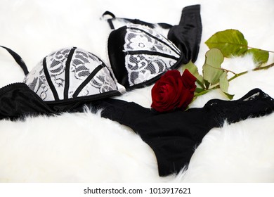 Sexy Black White Lingerie Red Rose Stock Photo Shutterstock