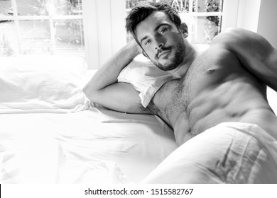 Sexy, hairy naked muscular man with sixpack abs lying in bed covered with sheet