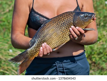 Sexy Fish Girl