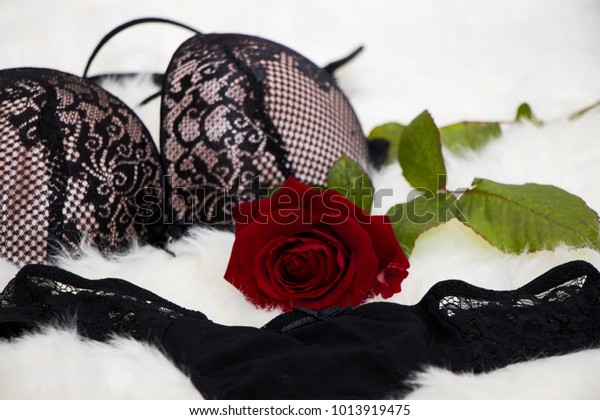 Sexy Lingerie Red Rose On White Stock Photo 1013919475 | Shutterstock