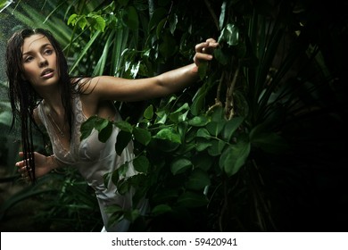 Sexy Young Brunette Beauty In A Rain Forest