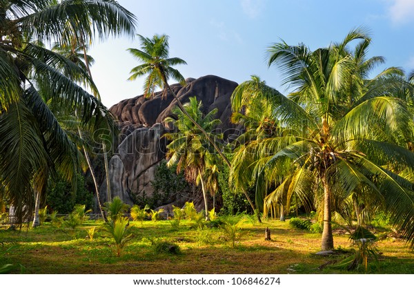 Seychelles Natural Wonder Form Boulder Classified Stock Photo Edit Now