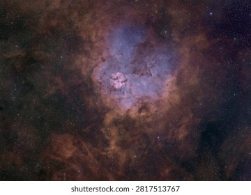 Sh2-124 processed by Chris Cantrell with data from Telescope live in Siril gimp Starnet and Graxpert with 7.5 hours of sho