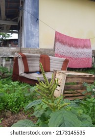 The Shabby Chairs And Rickety Table In The Backyard
