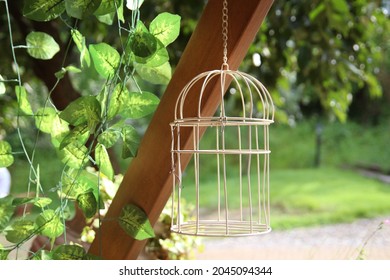 Shabby Chic Bird Cage Isolated On Green Leafs Background