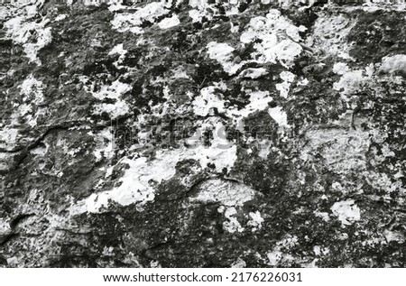 Shabby Stone Texture. Black and White Background.  Texturized stone Pattern